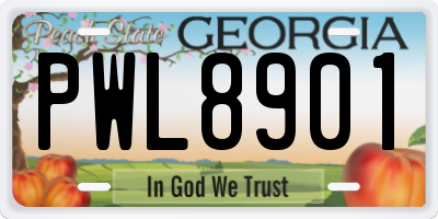 GA license plate PWL8901