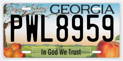 GA license plate PWL8959