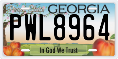 GA license plate PWL8964