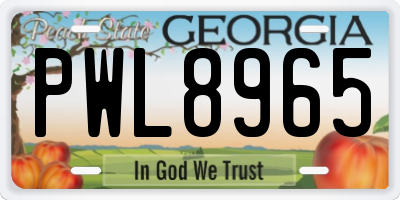 GA license plate PWL8965