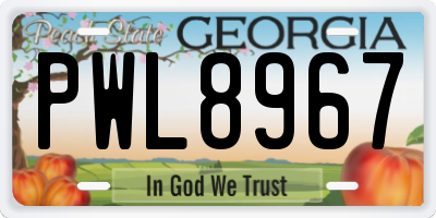 GA license plate PWL8967