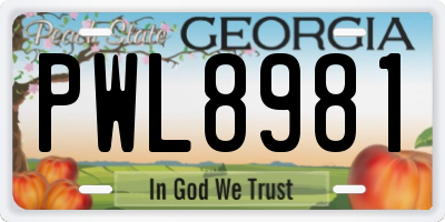 GA license plate PWL8981