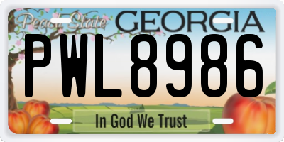 GA license plate PWL8986