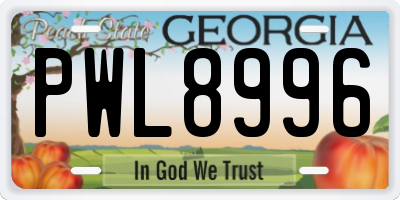 GA license plate PWL8996
