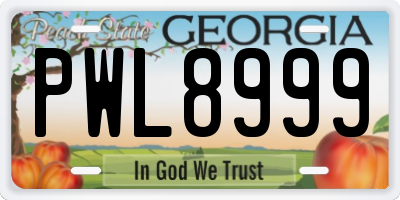 GA license plate PWL8999