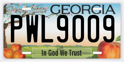 GA license plate PWL9009