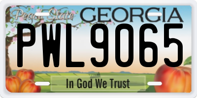 GA license plate PWL9065