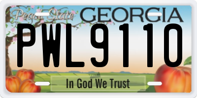 GA license plate PWL9110