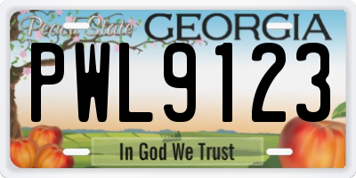 GA license plate PWL9123