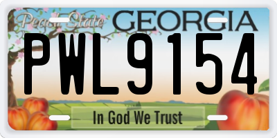 GA license plate PWL9154