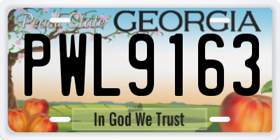 GA license plate PWL9163