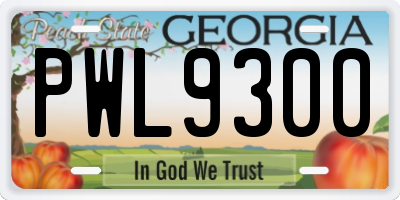 GA license plate PWL9300
