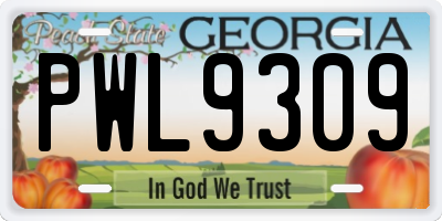 GA license plate PWL9309