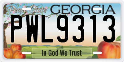 GA license plate PWL9313