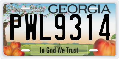 GA license plate PWL9314