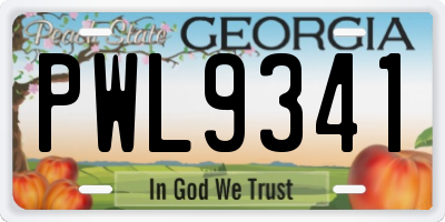 GA license plate PWL9341