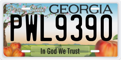 GA license plate PWL9390
