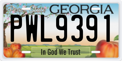 GA license plate PWL9391