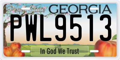 GA license plate PWL9513