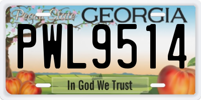 GA license plate PWL9514