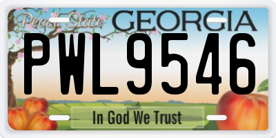 GA license plate PWL9546