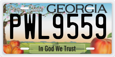 GA license plate PWL9559