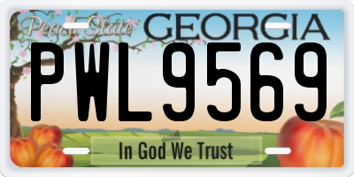 GA license plate PWL9569