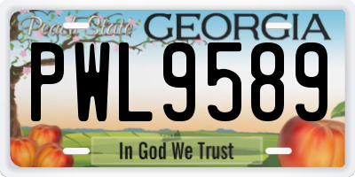 GA license plate PWL9589