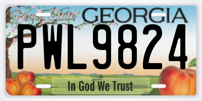 GA license plate PWL9824