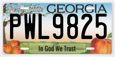 GA license plate PWL9825