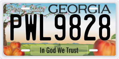 GA license plate PWL9828