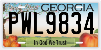 GA license plate PWL9834
