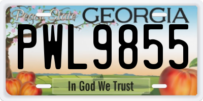 GA license plate PWL9855