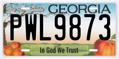 GA license plate PWL9873