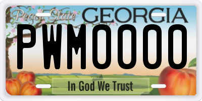 GA license plate PWM0000