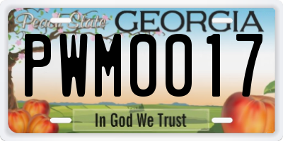 GA license plate PWM0017