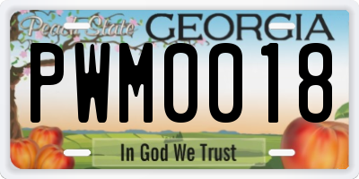 GA license plate PWM0018