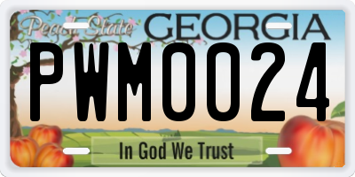 GA license plate PWM0024