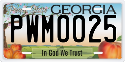 GA license plate PWM0025