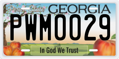 GA license plate PWM0029