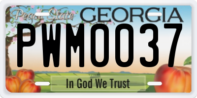 GA license plate PWM0037