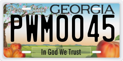GA license plate PWM0045