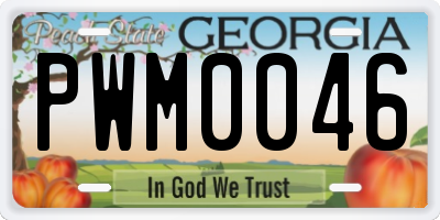 GA license plate PWM0046