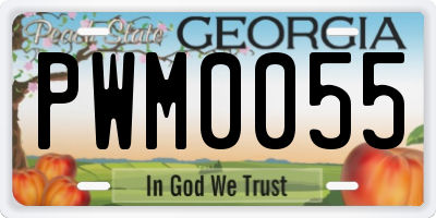 GA license plate PWM0055