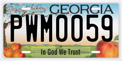 GA license plate PWM0059