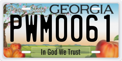 GA license plate PWM0061