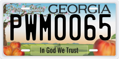 GA license plate PWM0065