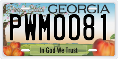 GA license plate PWM0081