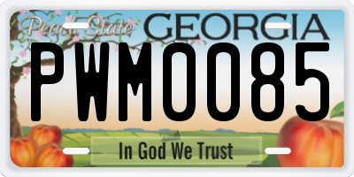 GA license plate PWM0085