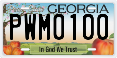 GA license plate PWM0100